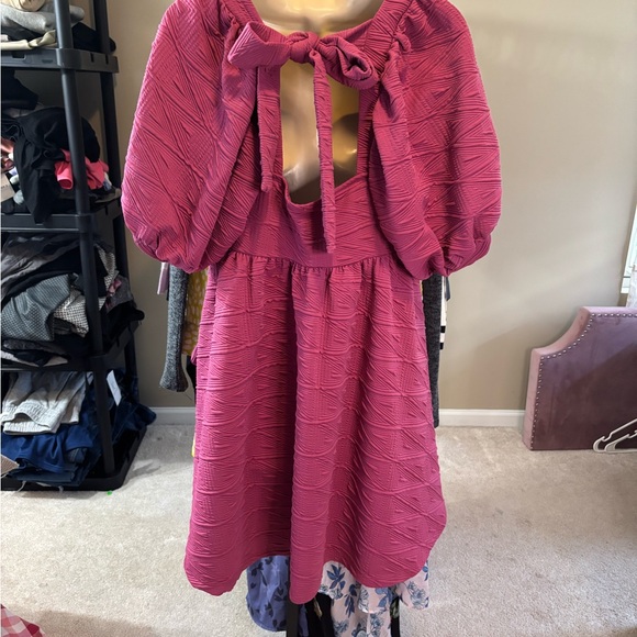 Free People Raspberry Textured Dress - Picture 3 of 5